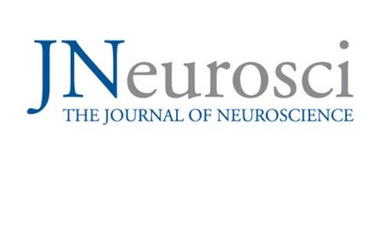 New Paper Accepted In The Journal Of Neuroscience Roelofs Epan 6070